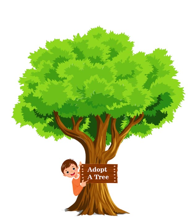 Adopt A Tree